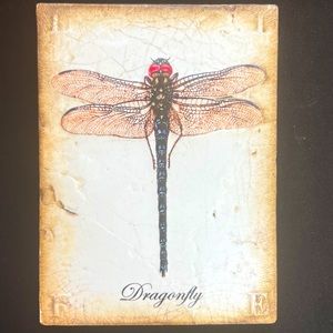 Retired Sid Dickens Memory Block, T-322, Transformation.